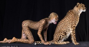 spots