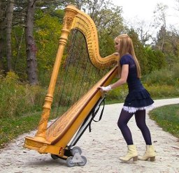 harp twins - harp transport